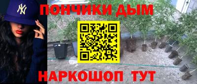 твердый Бердск