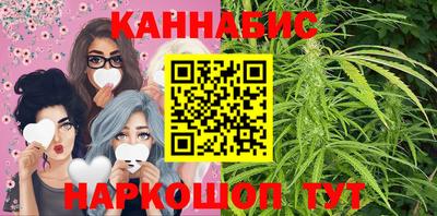твердый Бердск