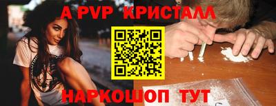 твердый Бердск