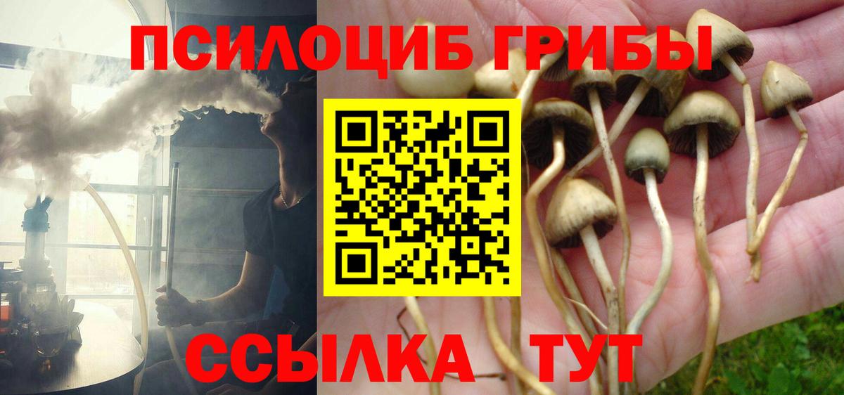 Галлюциногенные грибы мицелий  Вход с VPN  купить закладку  Зеленодольск  Галлюциногенные грибы мухоморы 